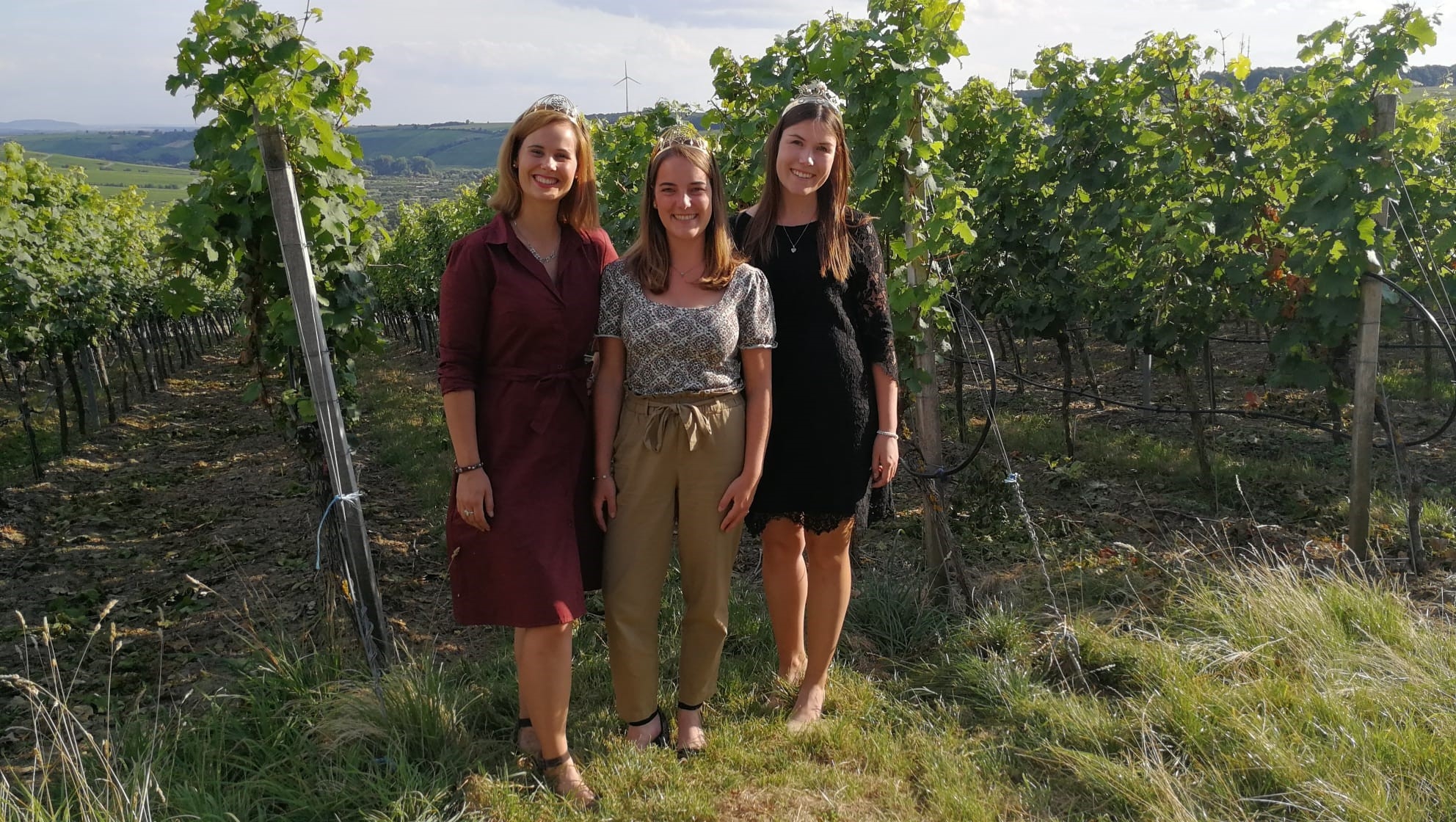 27 Autogrammkarten DEUTSCHE WEINKÖNIGINNEN WEINPRINZESSINNEN diverse Jahrgänge